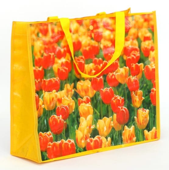 Modell: PP Non Woven Taschen #42